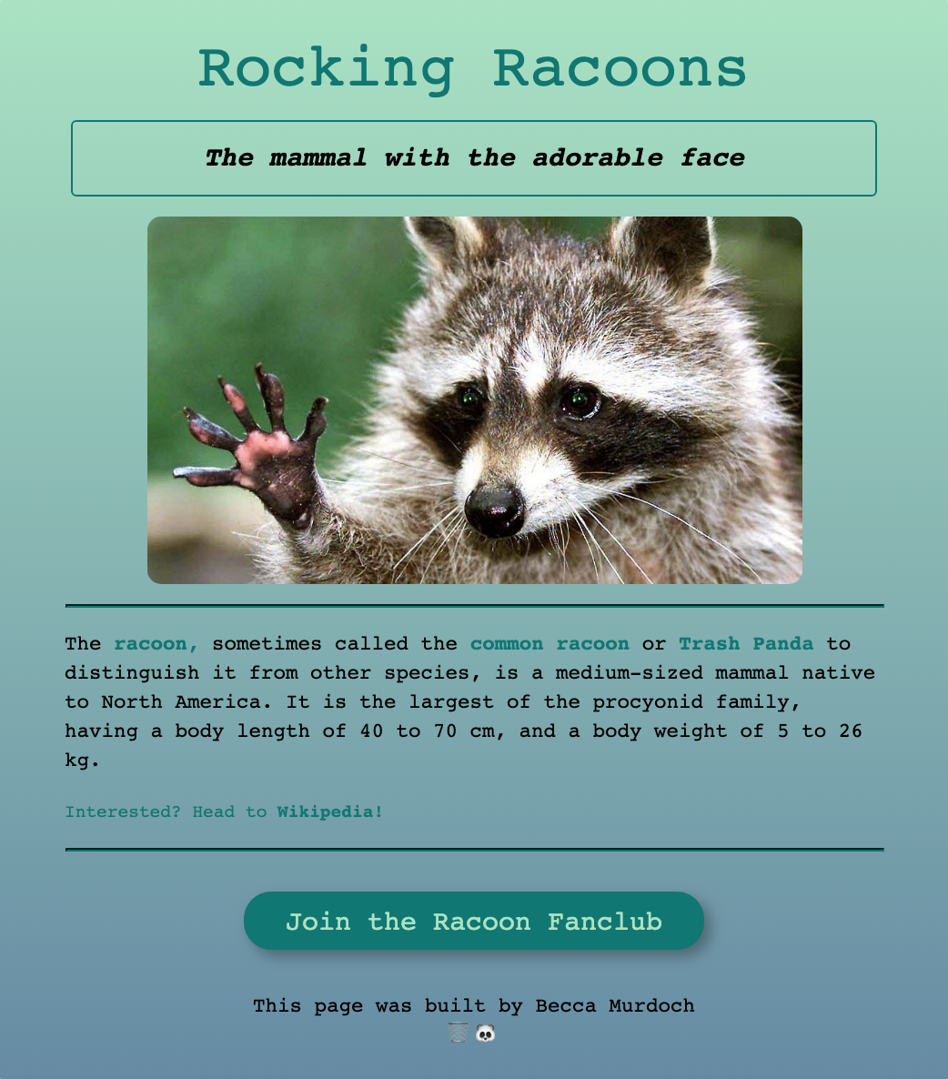 racoon project preview